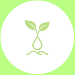 Natural Resource Management