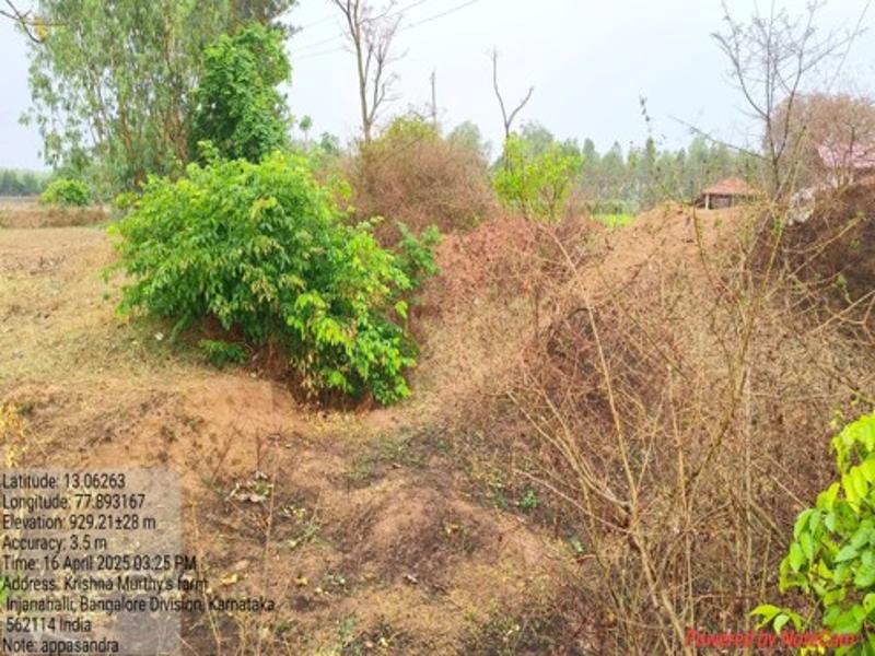 Appasandra 1_800x600