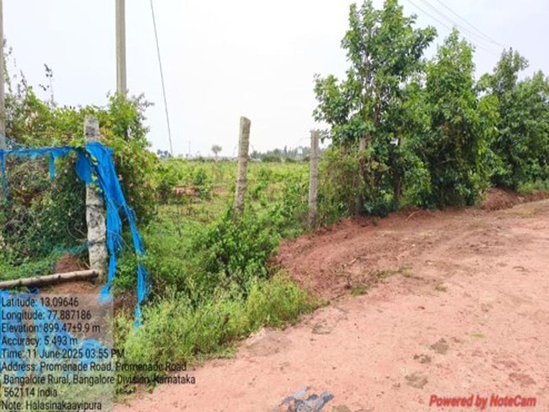 Halasinakayipura 1_800x600