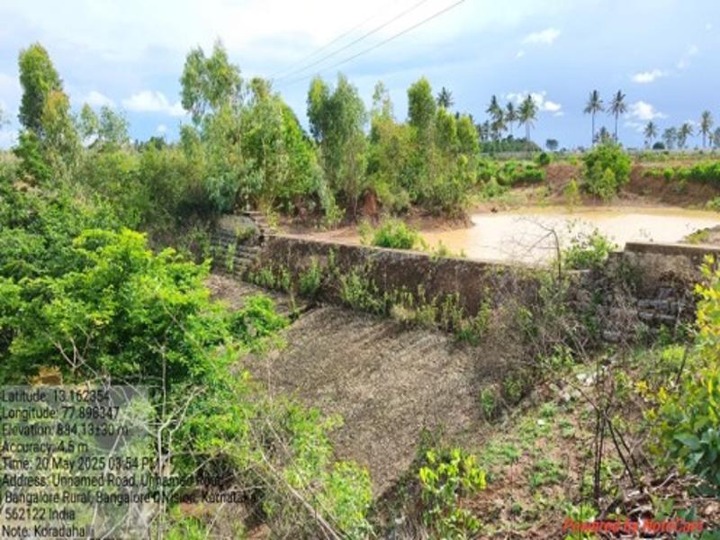 Koradahalli 1_800x600