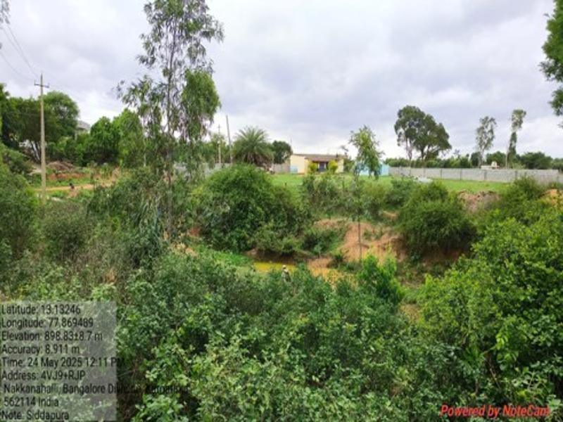 Siddapura 11_800x600